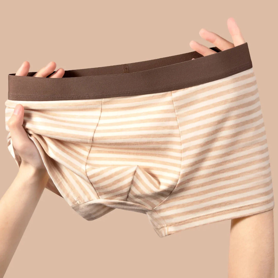 Heritage Stripe Biologische Katoenen Boxer Shorts